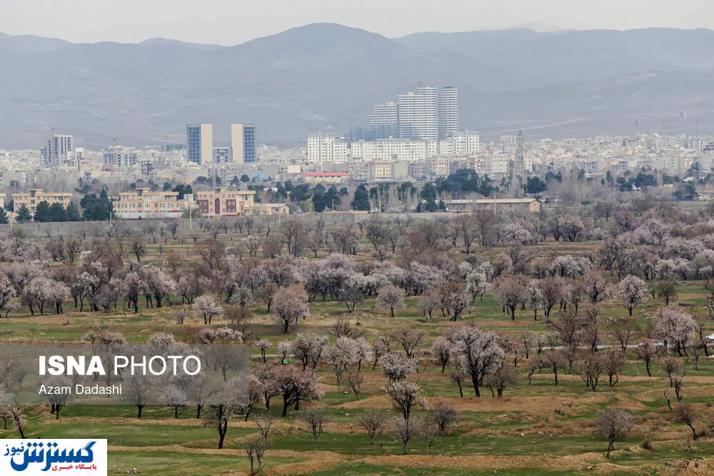تصاویر/ شکوفه‌های بهاری قزوین