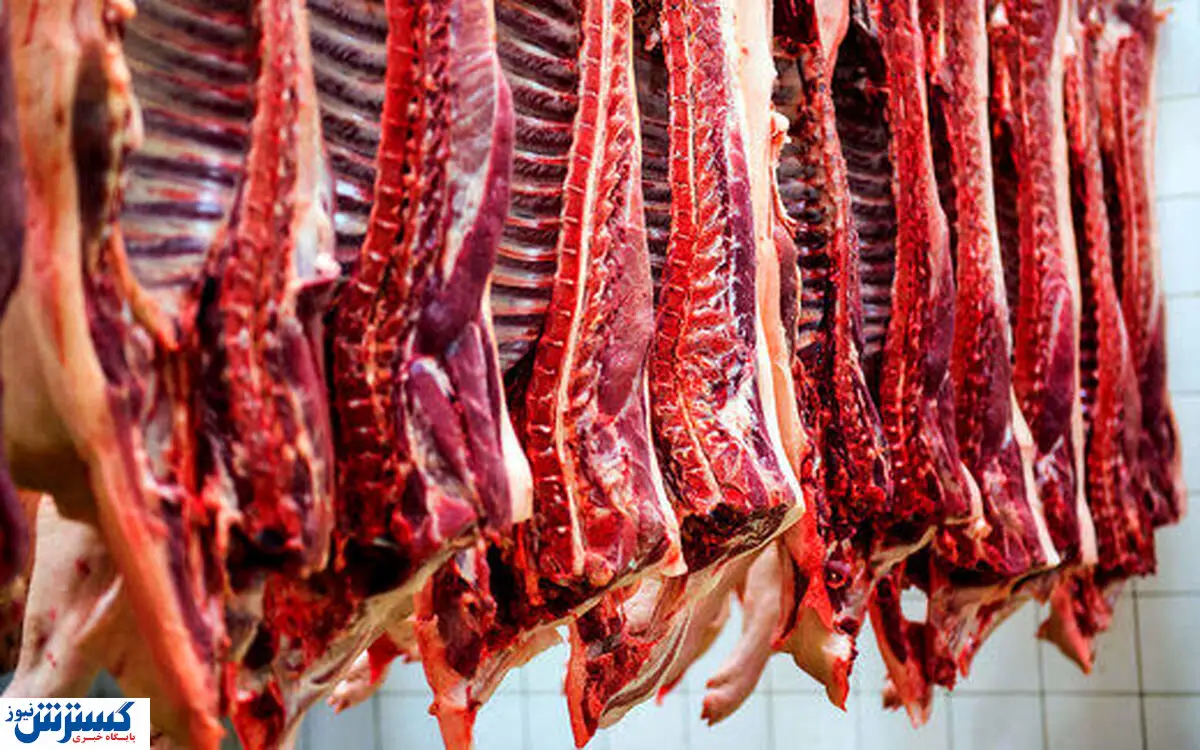 توزیع گوشت ارزان در میادین میوه و تره بار