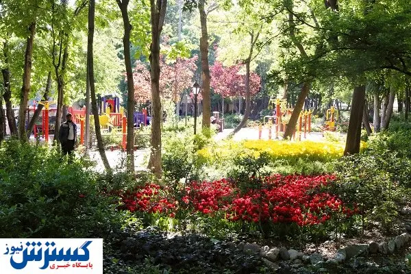 آجر بهجای درخت