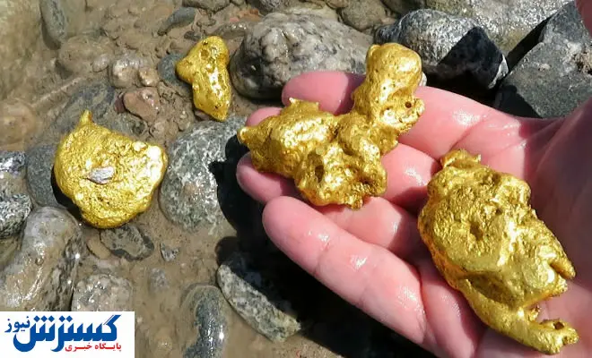 کشف ۱۰ معدن طلای جدید در این کشور