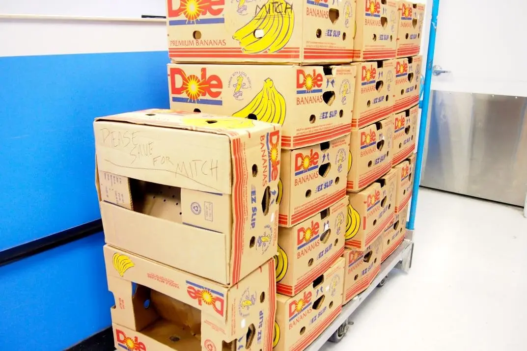 کارتن موز هم قیمتی شد / دانه‌ای ۲۵ هزار تومان!