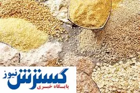 قول مهم درباره تامین نهادههای دامی
