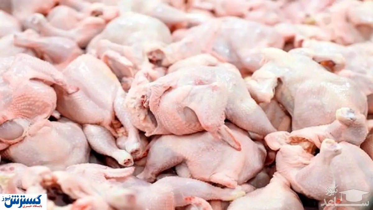 افزایش ۱۷ درصدی عرضه گوشت انواع طیور