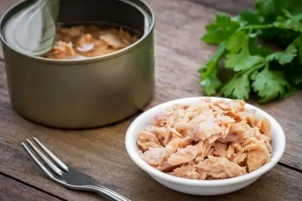 قیمت انواع تن ماهی در بازار + جدول