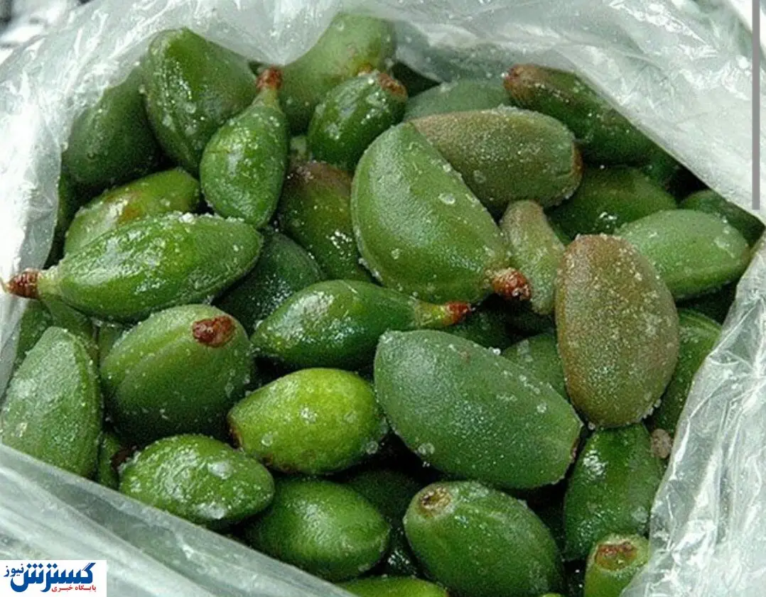 چغاله بادام در صدر گرانی بازار میوه!