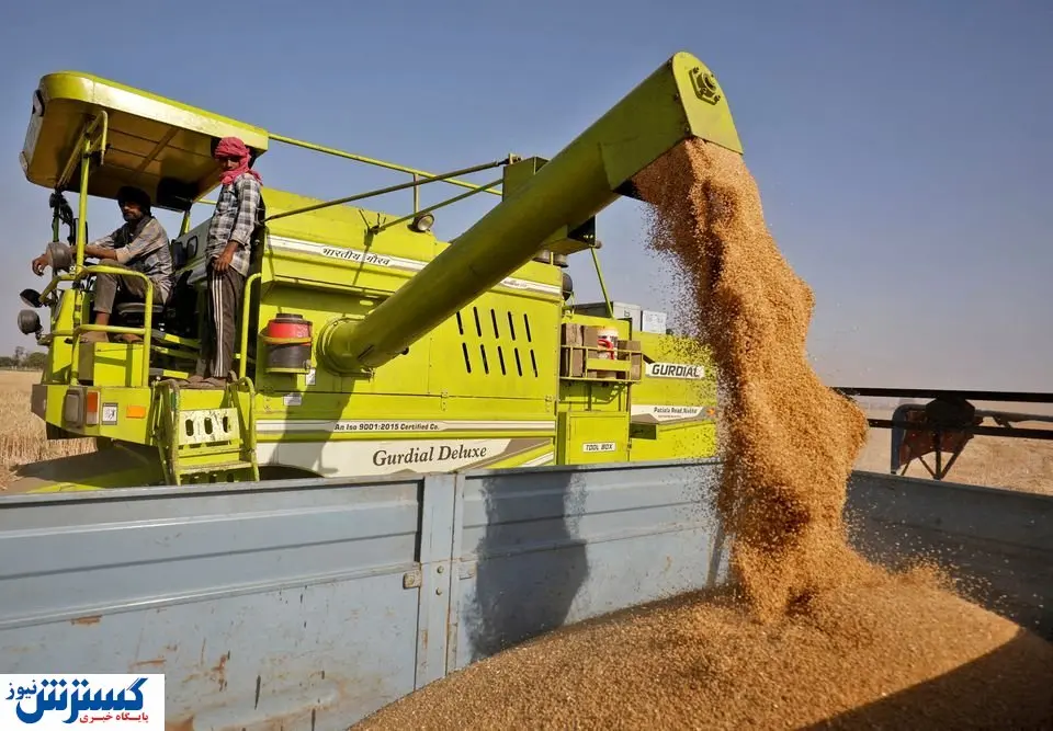 ممنوعیت  صادرات گندم از هند