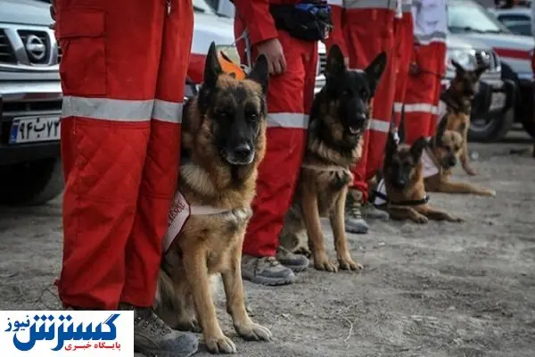 برگزاری دوره های بین المللی توسط هلال احمر