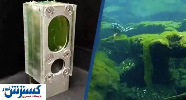 این کامپیوتر با فتوسنتز کار می کند! + عکس