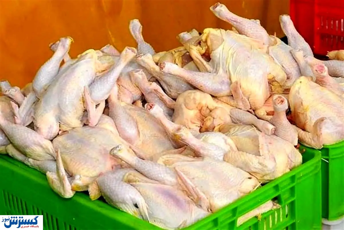 کاهش قیمت مرغ ادامه دارد؟ قیمت مرغ امروز چند؟