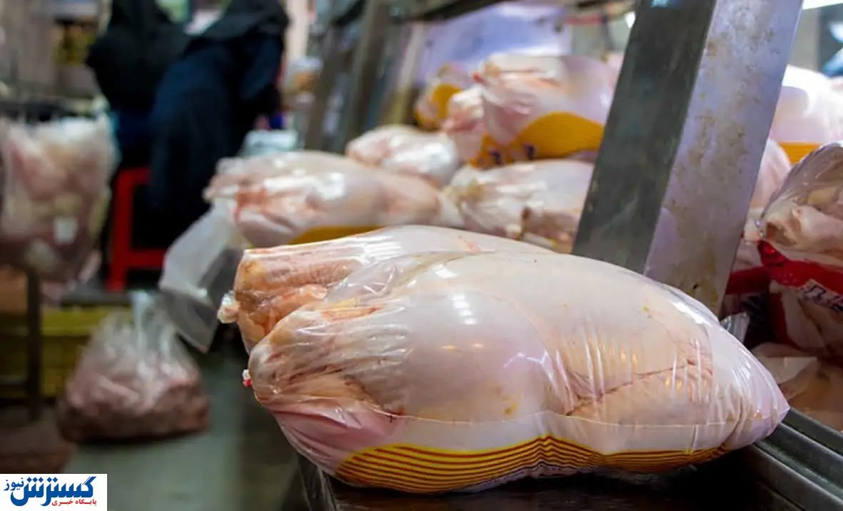نگرانی مرغداران از کاهش قدرت خرید مردم