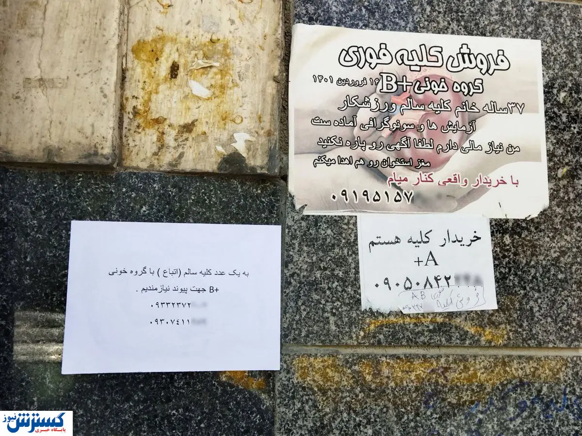 اسکناس هایی که بوی خون می‌دهد / فروش اعضای بدن کسب و کار جدید فقرای آبرومند!