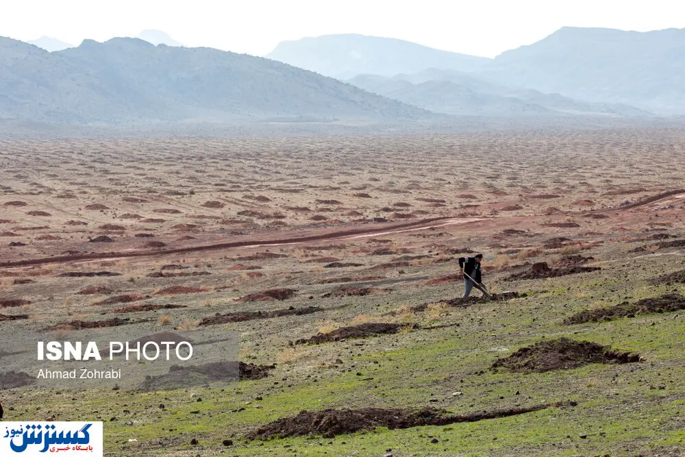 تصاویر/ تلاش برای مقابله با بیابانزایی