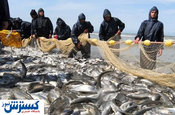 خیز شیلات ایران برای صادرات یک میلیارد دلاری