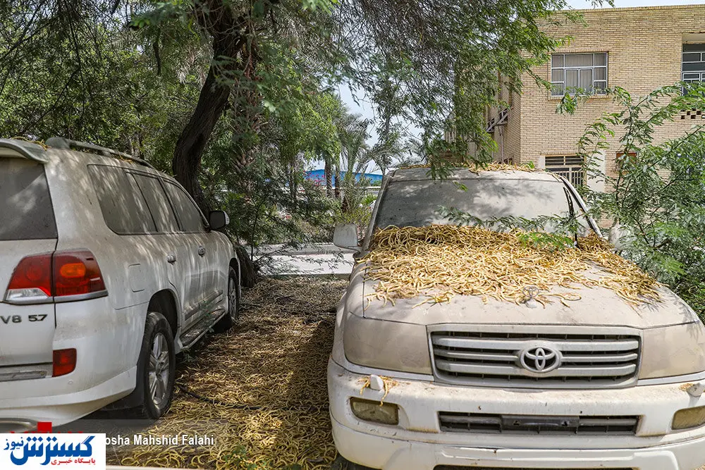 تصاویر/ آنچه در انبار اموال بلوکهشده می گذرد