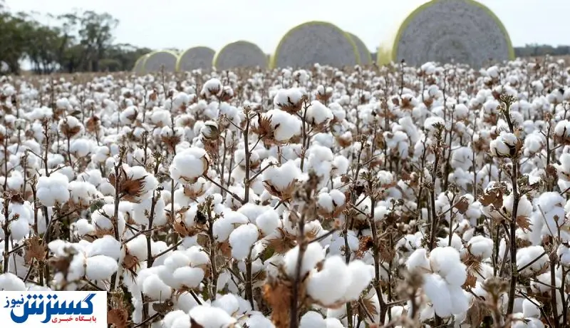 تشدید نگرانی ها از افزایش واردات مواد اولیه صنعت نساجی