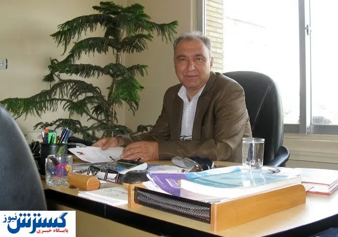 چرا صادرات تخم مرغ متوقف شد؟