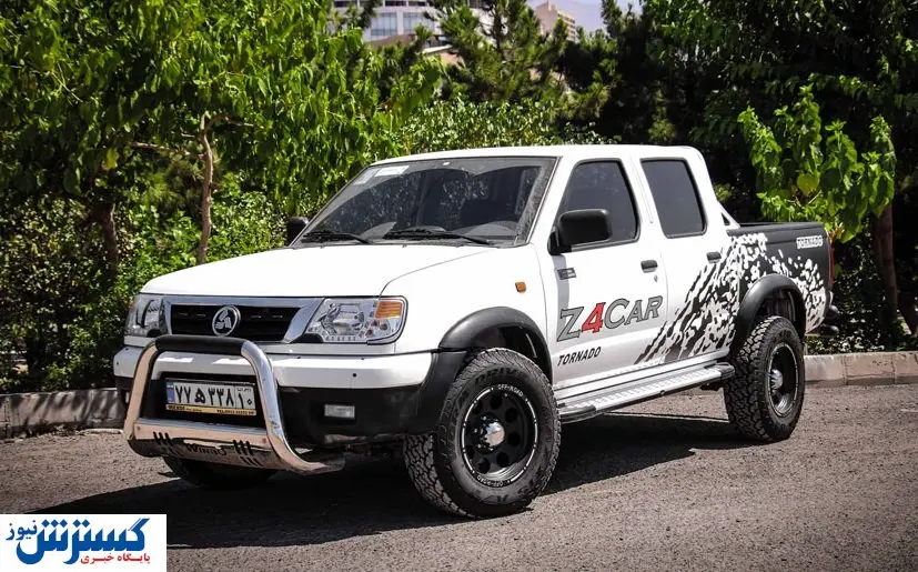 قیمت جدید انواع زامیاد در بازار + جدول