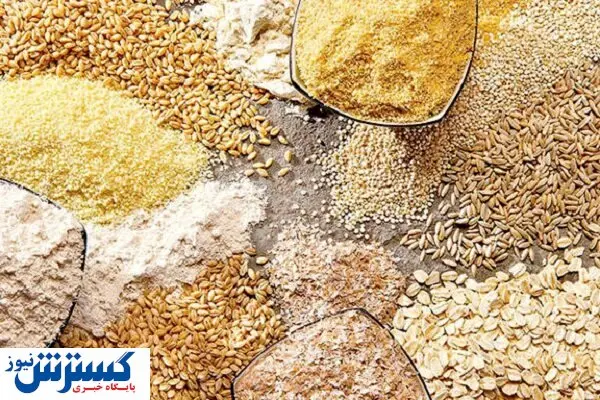 قیمت نهادههای دامی کاهش یافت