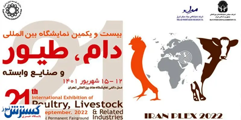 آخرین گزارش از بزرگترین نمایشگاه دام و طیور ایران ۱۴۰۱
