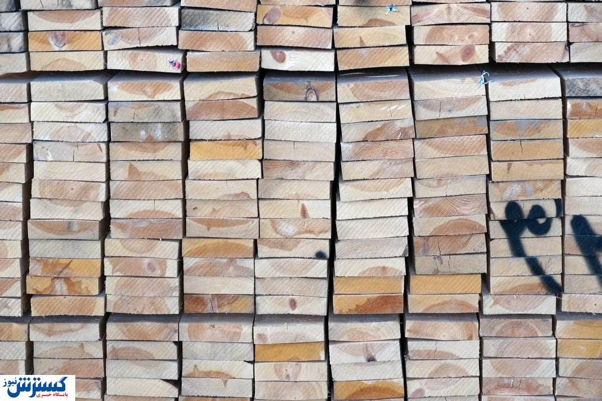 آشنایی با انواع چوب و روش تشخیص آنها