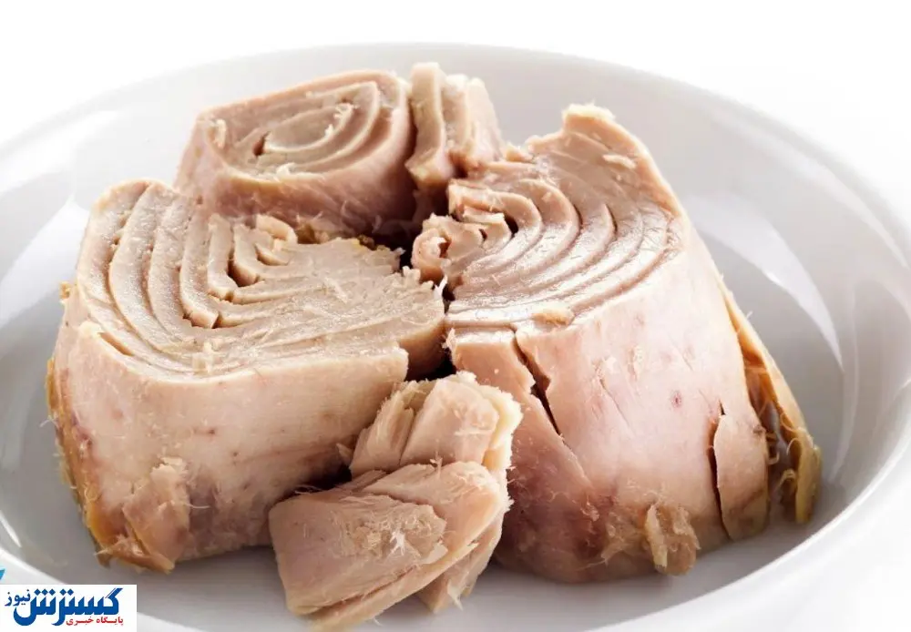 تشدید نگرانی ها از کاهش تولید کنسرو تن ماهی