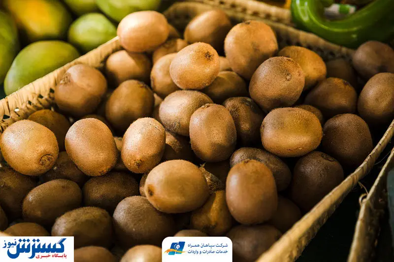 از سرگیری صادرات کیوی به هند