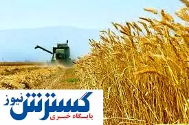 صادرات غلات هم سیاسی شد