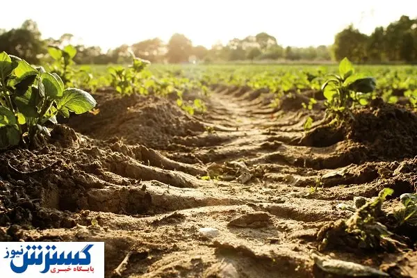  مرگ بی‌صـدا