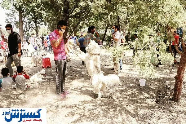 بازار سیاه حیوانات کمیاب