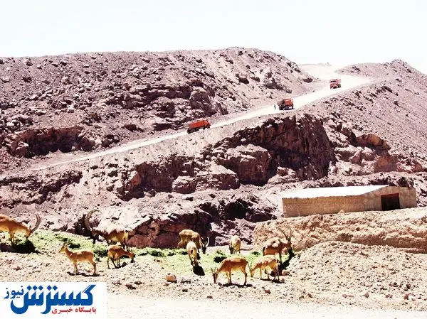 هشدار که آرامششان را نخراشی