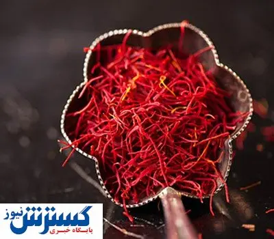 جزئیات جدید درباره گواهی سپرده زعفران در بورس