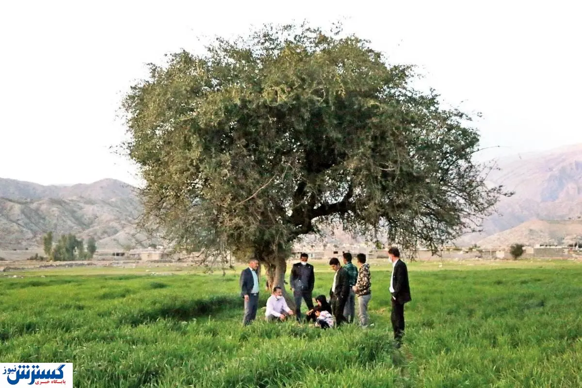 وضعیت مردم مال باخته بعد از سقوط تاریخی بورس!