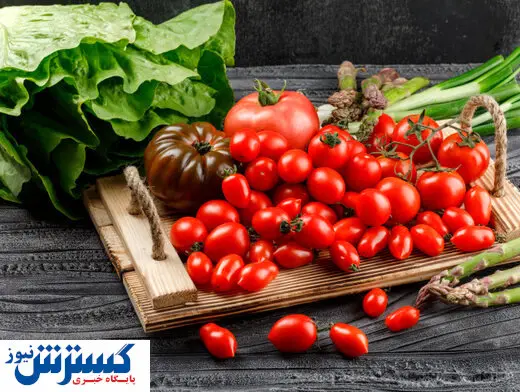 خبر جدید برای صادرکنندگان گوجه فرنگی در بوشهر