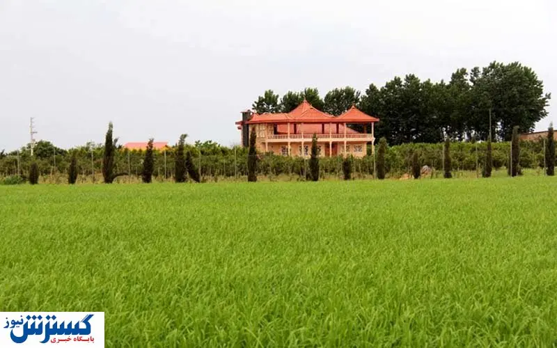 اجاره ویلا شبی ۲۰ میلیون / نظارت کجاست؟