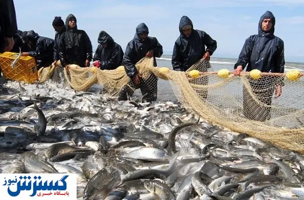 افزایش ۸۲ درصدی صید ماهی در دریای خزر