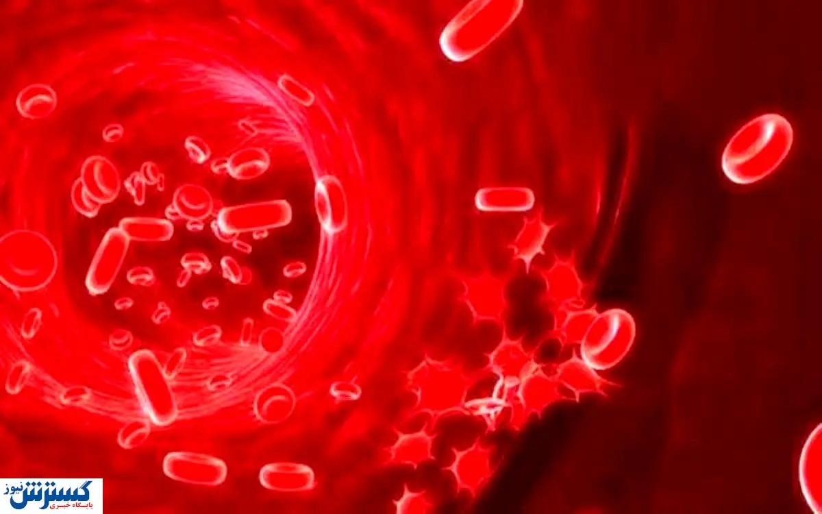 این خوراکی چربی خون را نابود می کند