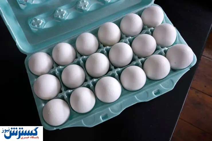 قیمت جدید تخم مرغ اعلام شد / بسته ۳۰ تایی چند؟ + جدول