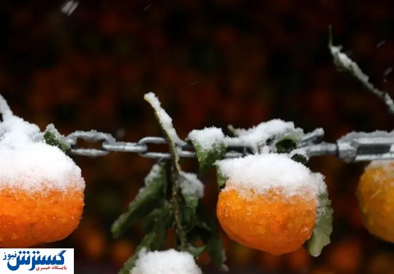 پیش بینی وضعیت هوای تهران / پایتخت کی بارانی می شود؟