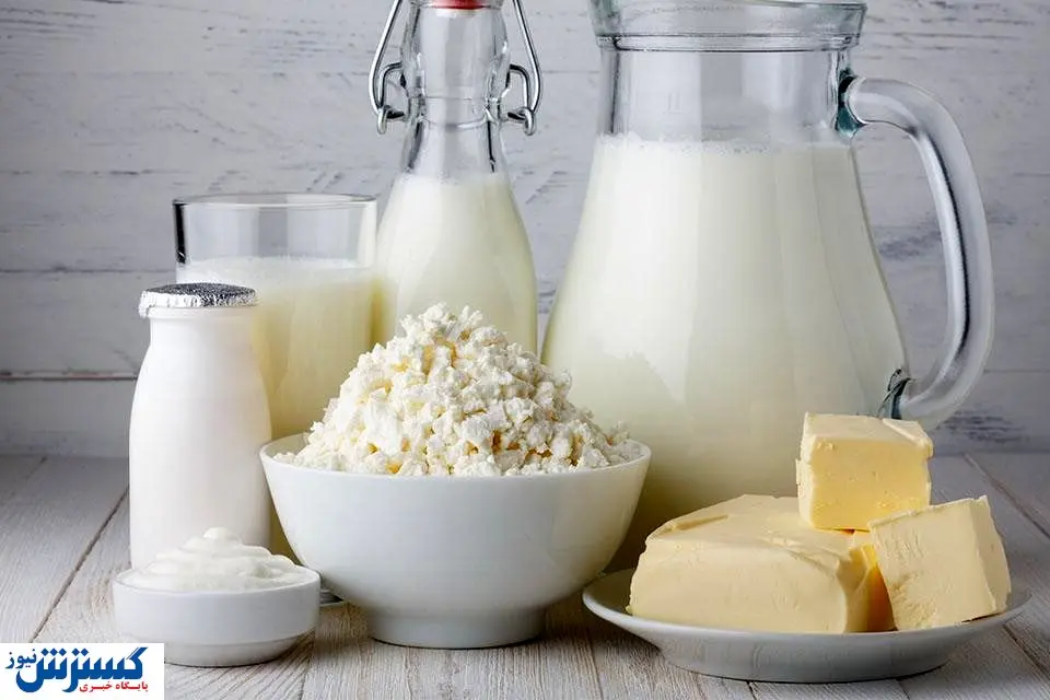 لبنیات چیست و با خواص آن آشنا شوید
