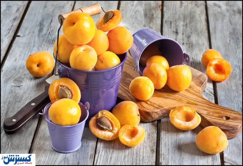 برگه زردآلو هم قیمت طلا / آلبالو خشکه از نیم میلیون گذشت!
