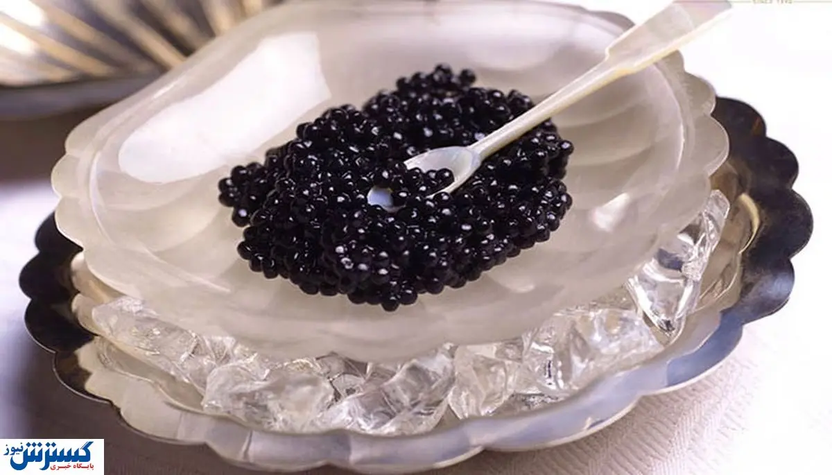 خاویار یک محصول اشرافی / ۵۰ گرم ۲ میلیون تومان!