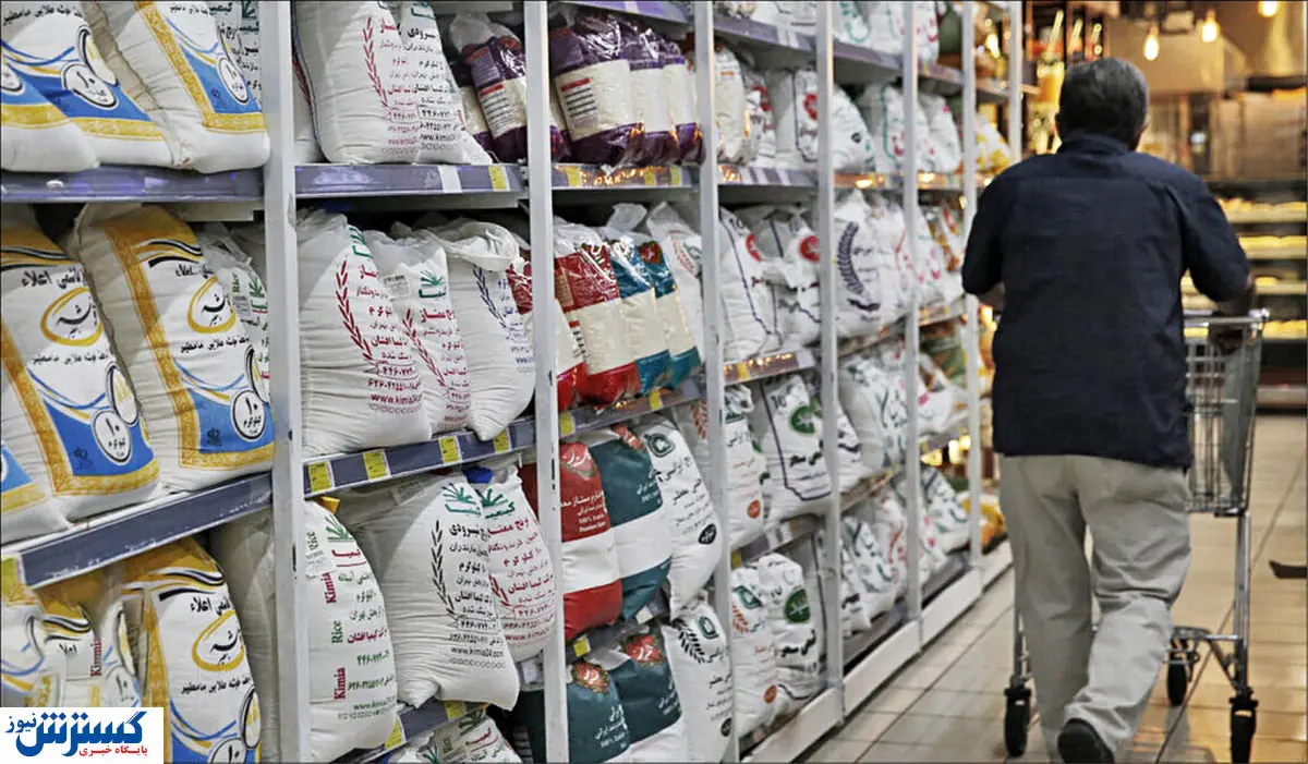 واردات یک میلیارد دلاری برنج /اختصاص ۷۰۰ میلیون دلار ارز برنج به یک شرکت