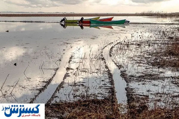 تشنه، چو تالابهای ایران