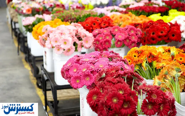 وضعیت این بازار اسفناک است! / چرا فروش غیر مجاز متوقف نمی شود؟