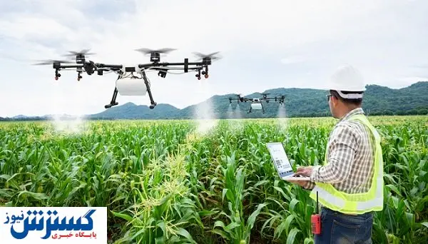 از سورتینگ‌های بی‌استفاده تا مافیا در تولید بذر