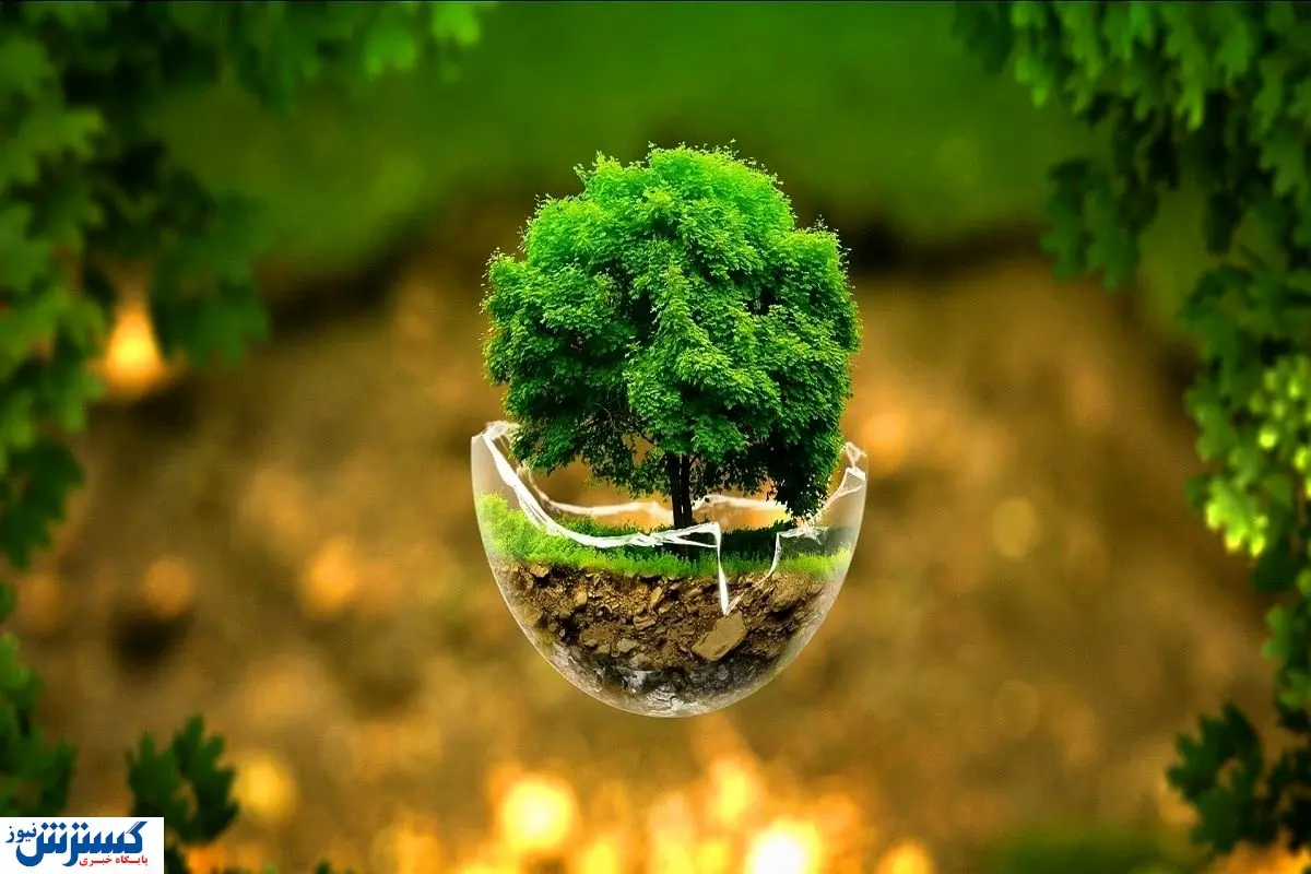 بخشی از بودجه محیط زیست پرداخت شد / مبلغ پیشنهادی چقدر بود؟
