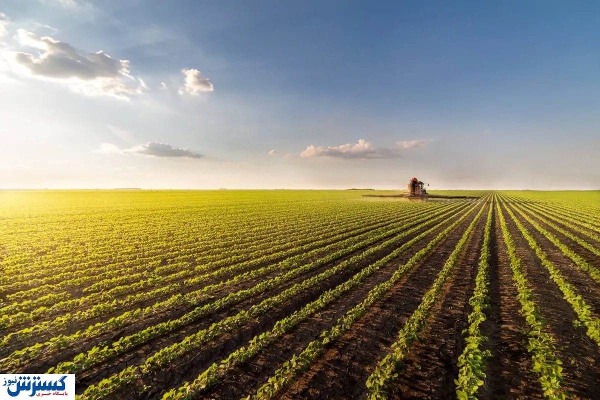 فراموشی جایگاه کشاورز / تولید در کنار کشاورزی اهمیت زیادی دارد