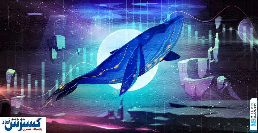 حرکت عجیب نهنگ های بیت کوین / فروشنده ها با بازار ارزهای دیجیتال قهر کردند