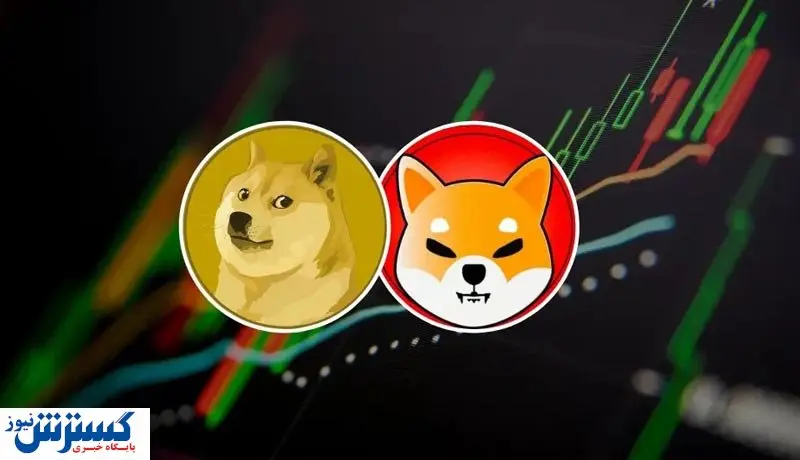 توقف رالی صعودی میم کوین ها / کاهش قیمت دوج کوین و شیبا