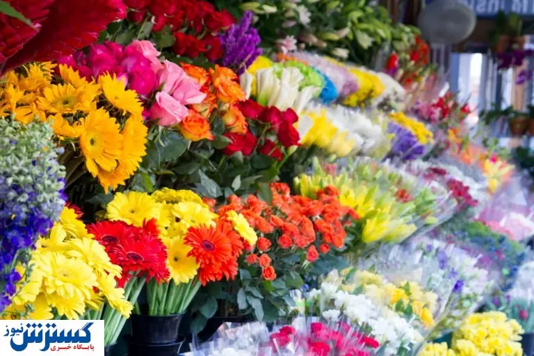 خبر خوش شب عید / قیمت ها در این بازار پایین تر از سال گذشته است